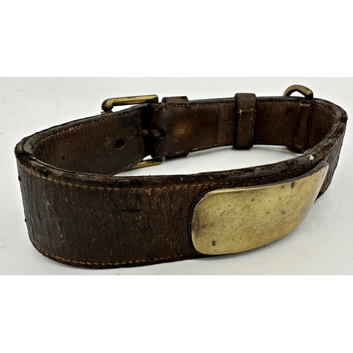 1123 - Antique leather dog collar with blank brass plaque