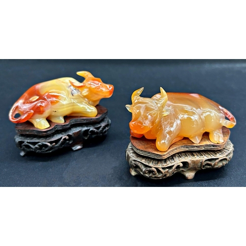 1045 - Pair of Chinese agate or amber coloured jade recumbent ox, bespoke stand, 10cm long