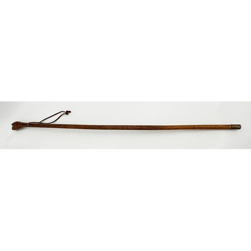 465 - 19th century fruitwood carved boxer dog walking stick, with inset glass eyes, 85cm long