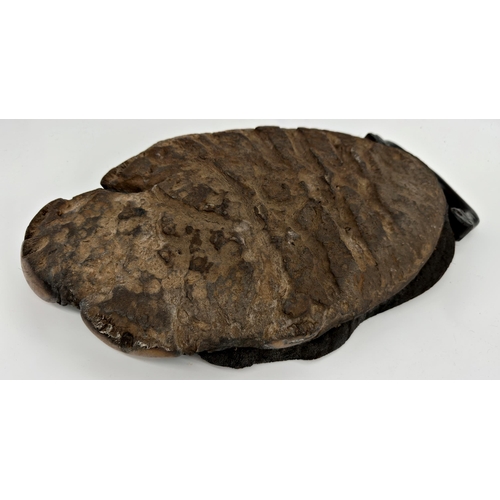 1135 - Taxidermy interest - An elephant foot tray with carved hardwood handle, 52cm x 29cm