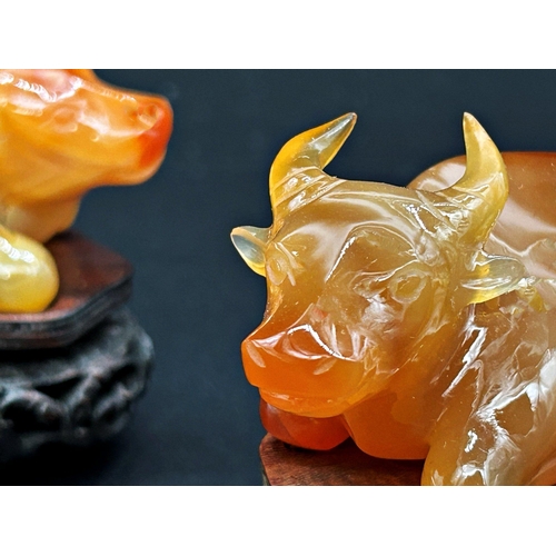 1045 - Pair of Chinese agate or amber coloured jade recumbent ox, bespoke stand, 10cm long