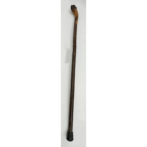 466 - 19th century Malacca carved bulldog head walking stick, with inset glass eyes, 90cm long