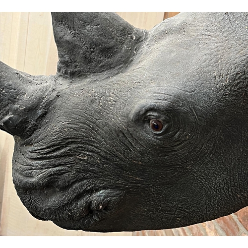 124 - Good quality large fibreglass replica rhinoceros head wall mount, with glass eyes, 94cm deep