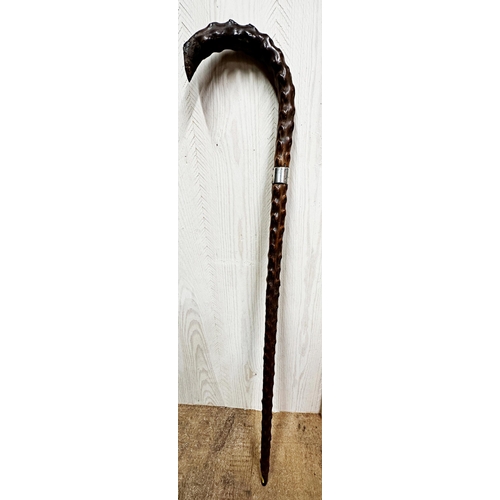 164 - A late Victorian/Edwardian silver collared hawthorn walking stick, Mitchell Bosley & Co, Birmingham ... 