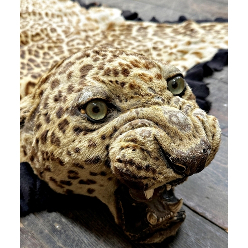 144 - Taxidermy - A late 19th/early 20th century, 'Van Ingen & Van Ingen, Mysore' Leopard skin, flat mount... 