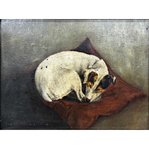 1383 - 19th century school - portrait of a sleeping Jack Russell terrier, unsigned, oil on canvas laid on b... 