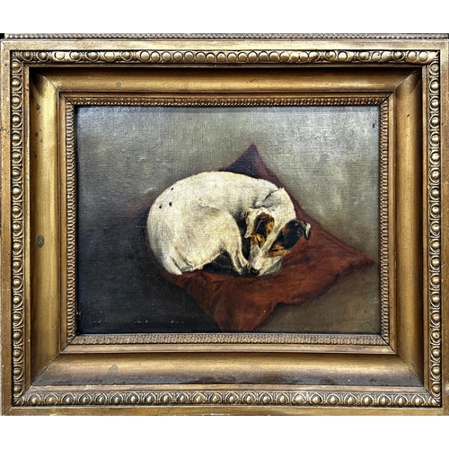 1383 - 19th century school - portrait of a sleeping Jack Russell terrier, unsigned, oil on canvas laid on b... 