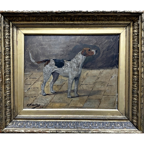 222 - Geoffrey Douglas Giles (1857-1941) - Portrait of a standing foxhound, signed, oil on board, 26 x 34c... 