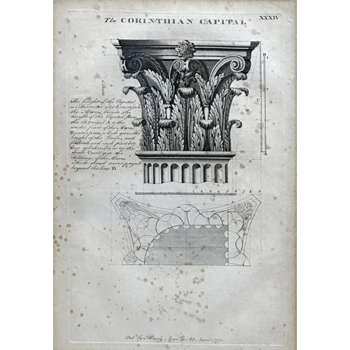 1387 - Matthew Darly (1721-1780) - 'The Corinthian Capital', black and white etching, 40 x 26cm, framed