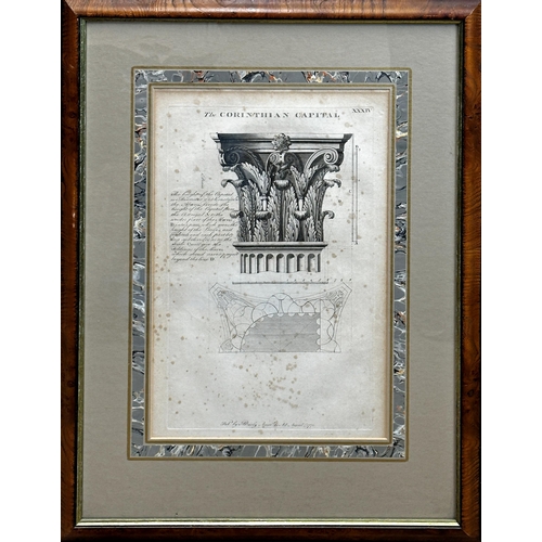 1387 - Matthew Darly (1721-1780) - 'The Corinthian Capital', black and white etching, 40 x 26cm, framed