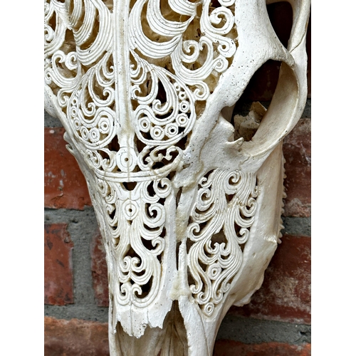 125 - Taxidermy - Bull skull with horns, with filigree type carved decoration, 48cm high x 78cm wide