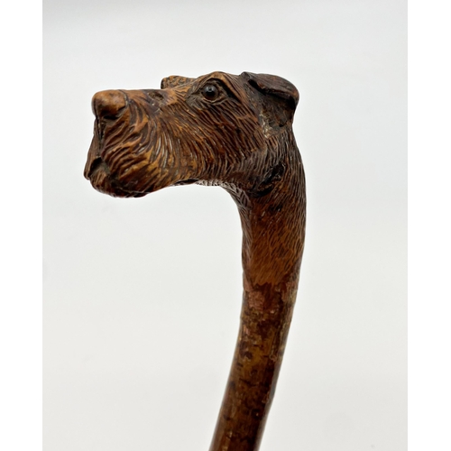 179 - Probably by Swaine & Adeney - Good quality hand carved walking stick with foxhound knop, glass eyes,... 