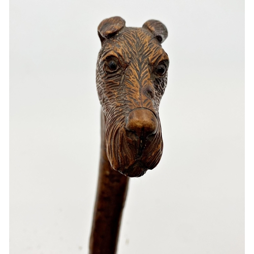 179 - Probably by Swaine & Adeney - Good quality hand carved walking stick with foxhound knop, glass eyes,... 