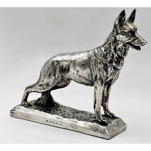 157 - Good silver model of a standing Alsatian, maker Camelot Silverware Ltd, Sheffield 2000, 18 x 22cm