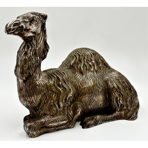 108 - Silver plated cast metal (possibly bronze) study of a recumbent camel, 21cm x 28cm.