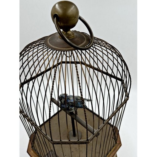 63 - Magnificent 19th century French singing bird in case automaton, the bird with blue feathers sat on a... 