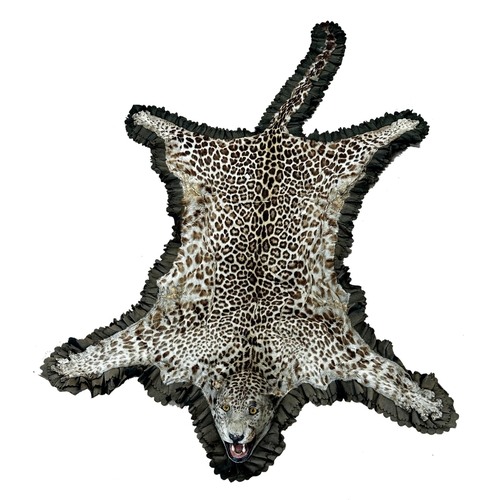 426 - Taxidermy - a leopard skin rug with head, open mouth teeth and tongue, probably by Van Ingen and Van... 