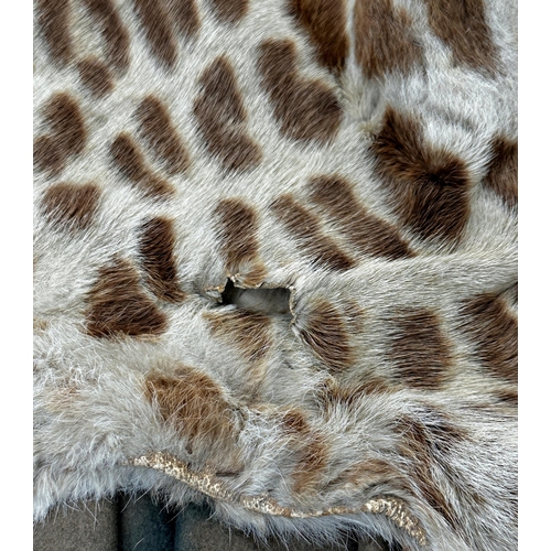 426 - Taxidermy - a leopard skin rug with head, open mouth teeth and tongue, probably by Van Ingen and Van... 