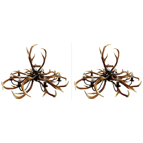 1142 - Impressive pair of simulated entwined antler chandeliers, enclosing an eight branch brass light fitt... 