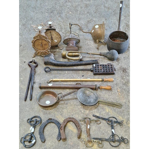 1054 - Large collection of iron hand tools and other miscellaneous items to include shears, clippers, Salte... 