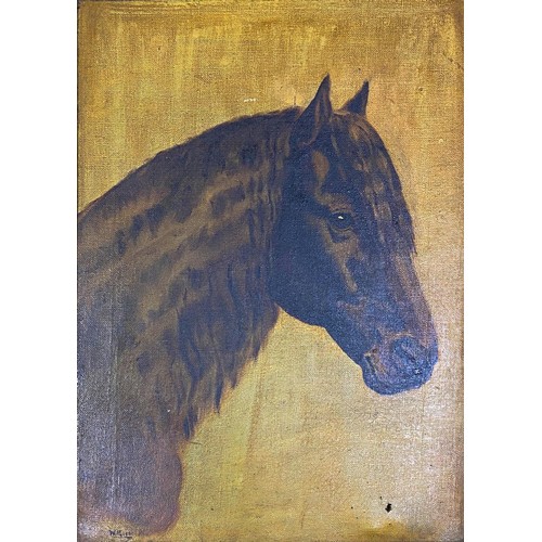 1392 - Early 20th century school - bust portrait of a pony, monogrammed WH and dated 1901, oil on canvas, 3... 