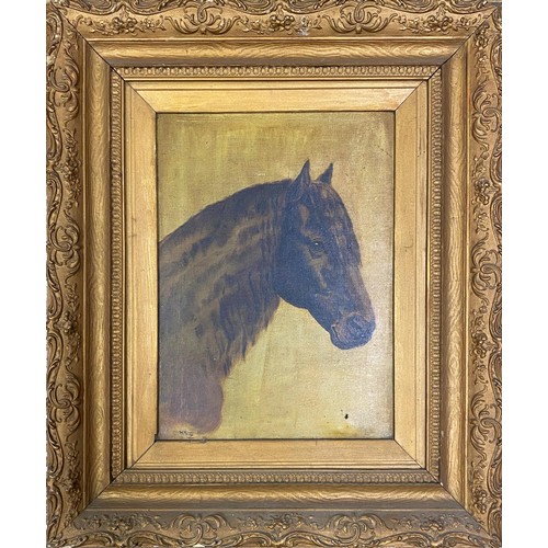 1392 - Early 20th century school - bust portrait of a pony, monogrammed WH and dated 1901, oil on canvas, 3... 