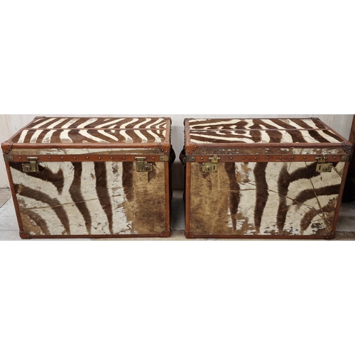 1231 - Pair of good quality reclaimed tan leather and zebra hide trunks, with brass fittings and twin leath... 