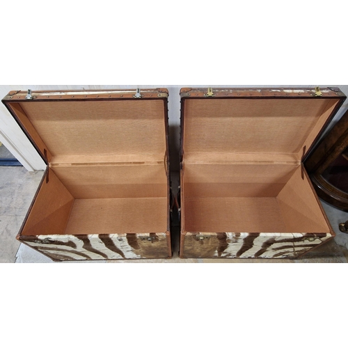 1231 - Pair of good quality reclaimed tan leather and zebra hide trunks, with brass fittings and twin leath... 