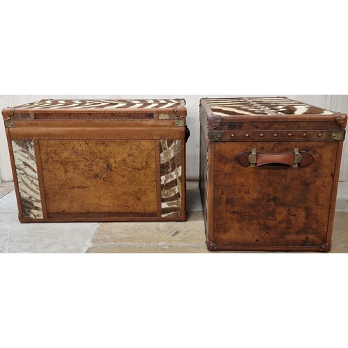 1231 - Pair of good quality reclaimed tan leather and zebra hide trunks, with brass fittings and twin leath... 