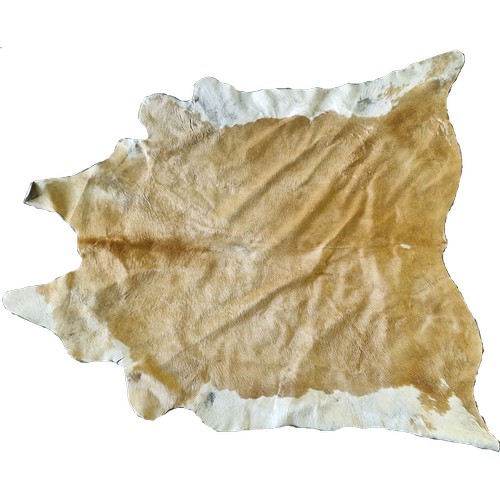 1450 - Extra large cow hide rug, 245cm x 230cm.