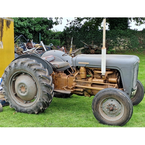 141 - Vintage Ferguson 35 Grey and Gold diesel tractor, starts and drives with working hydraulics, in very... 