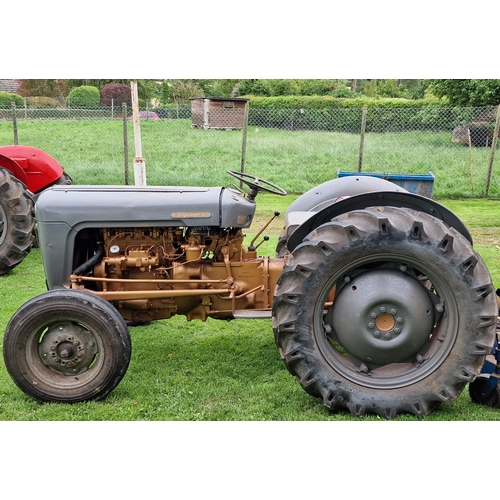 141 - Vintage Ferguson 35 Grey and Gold diesel tractor, starts and drives with working hydraulics, in very... 