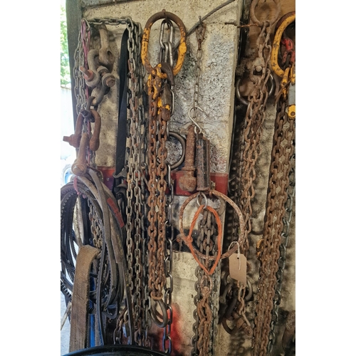 13 - Large collection of industrial chains, links and hooks of varying sizes and gauges