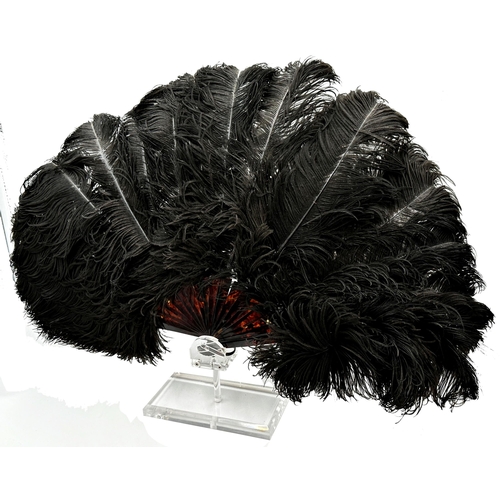 1566 - Large tortoiseshell and ostrich feather brise fan upon a Perspex stand, 57cm high x 79cm wide