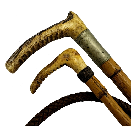 746 - Horn handled riding crop together with a further horn handled whip (2)