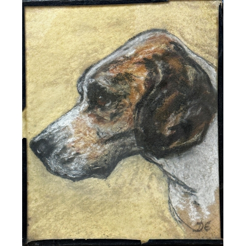 1539 - Early 20th century school - Bust portrait of a Foxhound, monogrammed DE, pastel, 17 x 14.5cm, glazed