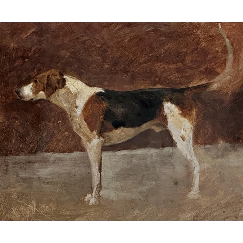 1544 - Late 19th century school - portrait of a standing Foxhound, unsigned, oil on paper, 21 x 26cm, oak f... 