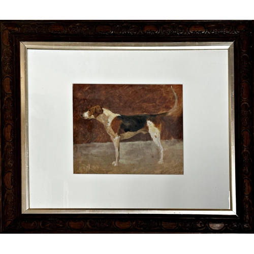 1544 - Late 19th century school - portrait of a standing Foxhound, unsigned, oil on paper, 21 x 26cm, oak f... 