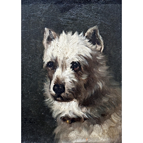 1550 - 19th century school - bust portrait of a terrier, monogrammed JC, oil on board, 21 x 14.5cm, giltwoo... 