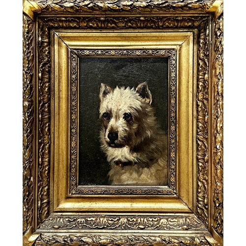 1550 - 19th century school - bust portrait of a terrier, monogrammed JC, oil on board, 21 x 14.5cm, giltwoo... 