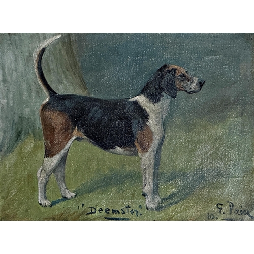 1551 - George Paice (1854-1925) - 'Deemster', portrait of a standing foxhound, signed 'G Paice 10', inscrib... 