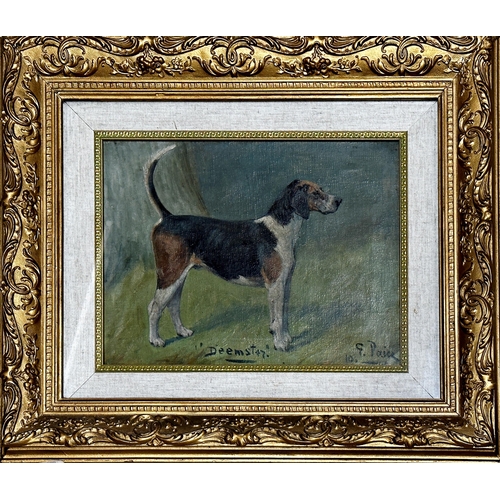 1551 - George Paice (1854-1925) - 'Deemster', portrait of a standing foxhound, signed 'G Paice 10', inscrib... 