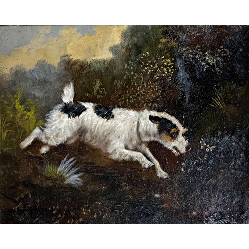 1556 - George Earl (1824-1908) - Terrier in a landscape, signed, oil on board, 29 x 35cm, framed