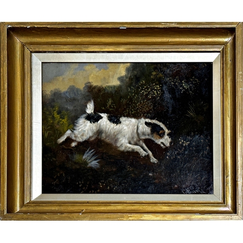 1556 - George Earl (1824-1908) - Terrier in a landscape, signed, oil on board, 29 x 35cm, framed