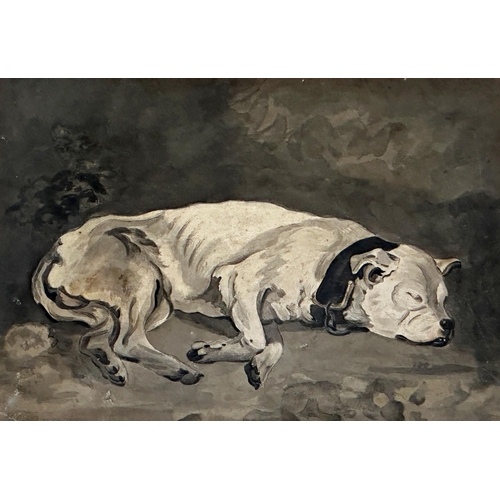 1557 - Late 18th/early 19th century school - sleeping hound, watercolour, 12.5 x 17.5cm, framed