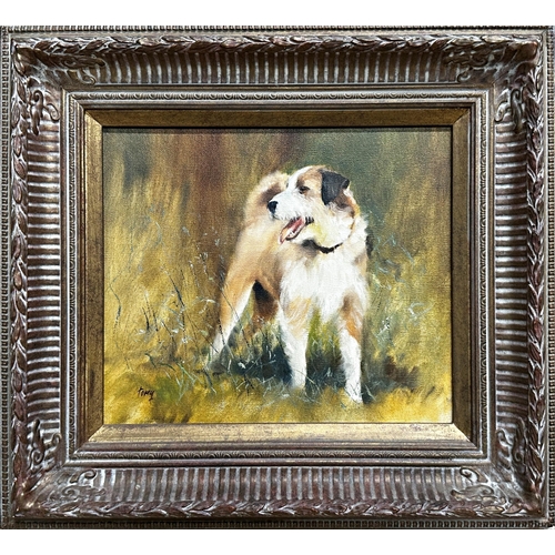 1558 - 'Torey' (20th century) - 'Barney', study of a terrier in a field, signed, titled and dated 1988 vers... 