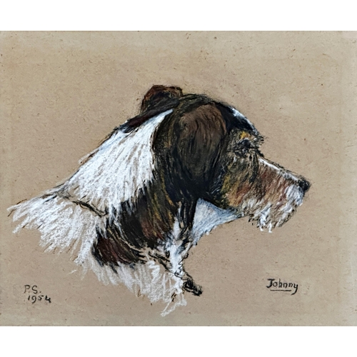 1531 - Pamela Skinner (20th century) - 'Johnny', bust portrait of a terrier, monogrammed and dated 1954, pa... 