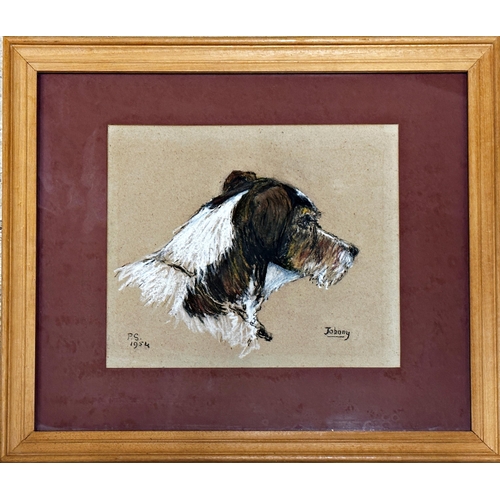 1531 - Pamela Skinner (20th century) - 'Johnny', bust portrait of a terrier, monogrammed and dated 1954, pa... 