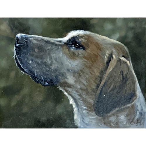 1536 - John Silver (b.1959) - bust portrait of a Foxhound scenting the air, signed and dated (20)19, oil on... 