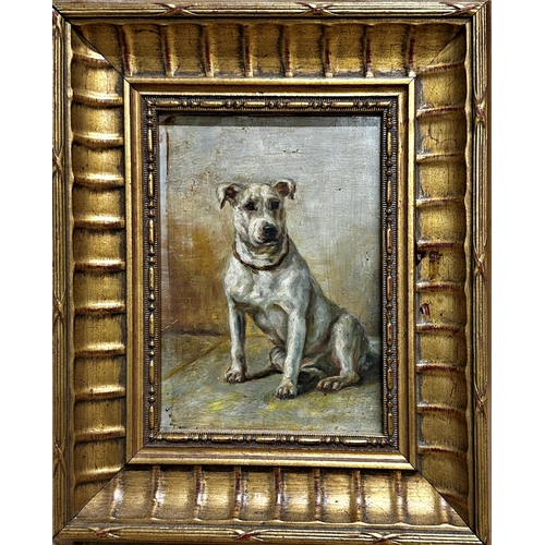 1537 - Attributed to John Emms (1843-1912) - Portrait of seated Bull Terrier, unsigned, oil on board, 17 x ... 